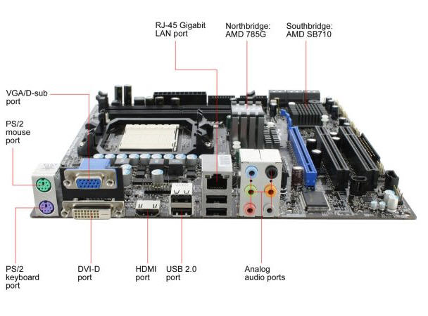 ati radeon hd 4200 drivers